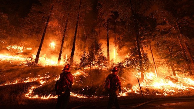 Golden California Wildfires